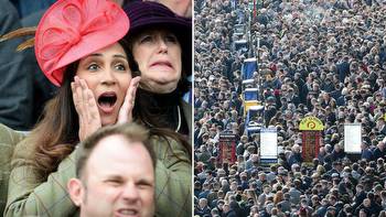 Cheltenham Festival to slash crowd numbers for 2023 but punters doubt it will make any difference