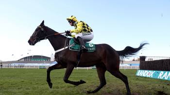 Cheltenham Festival: View the declared runners for day two