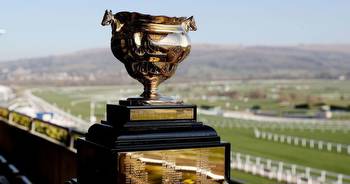 Cheltenham Gold Cup 2019 Pinsticker guide: Full list of runners, odds, tips, star ratings and rider colours