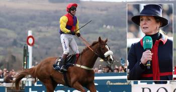 Cheltenham Gold Cup 2021 Pinsticker guide: Full list of runners, odds, tips, and colours