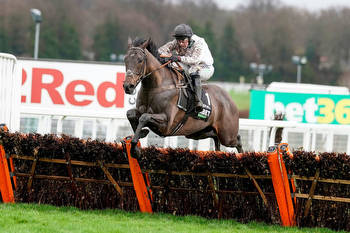 Cheltenham Gold Cup and Champion Hurdle Update: A Plus Tard and Constitution Hill to return at Haydock and Ascot