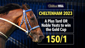 Cheltenham Gold Cup: Get either A Plus Tard or Noble Yeats to win at 150/1 with William Hill