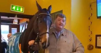 Cheltenham Gold Cup horse drank a Guinness after walking into a packed bar