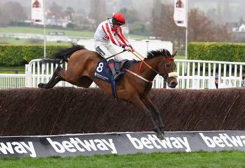 Cheltenham Gold Cup race card, runners and full schedule
