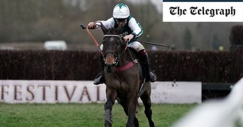 Cheltenham Gold Cup runners, riders, favourites & odds for 2024: full horse list