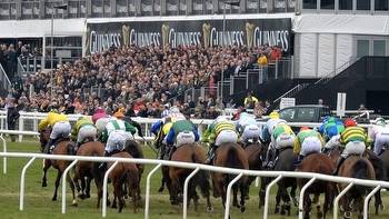 Cheltenham November Meeting 2023: Betting Offers, Race Cards & Free Bets