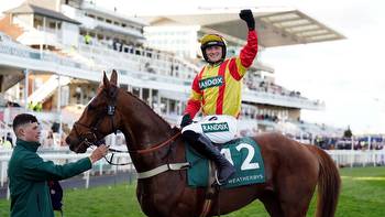 Cheltenham preview: Cromwell pair set for starring role