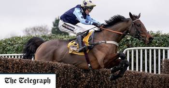 Cheltenham Queen Mother Champion Chase 2023 runners and riders: A horse-by-horse guide