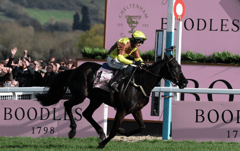Cheltenham Results: All the winners & each-way places in 2024