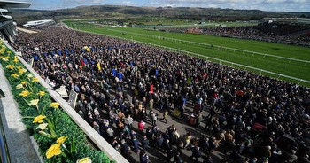 Cheltenham: The Irish group of friends in attendance for 45 years