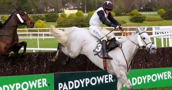 Cheltenham Tips: 2 Outsiders To Their Gold Cup Odds