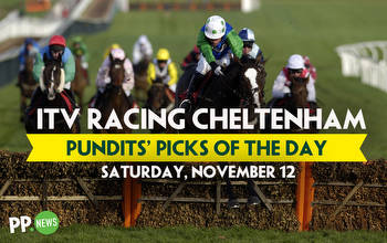 Cheltenham tips: Our Cheat Sheet for Paddy Power Gold Cup day