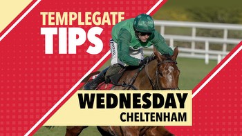 Cheltenham tips: Templegate's 8-1 NAP can win this race once more thanks to trainer's 'miracle' Festival prep