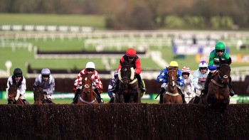 Cheltenham tips: Who are the best handicapped horses at the Festival according to Timeform?