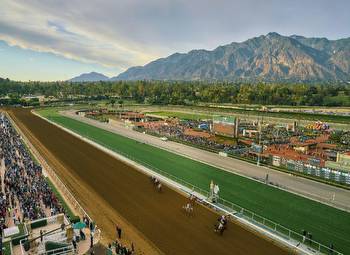 CHRB On Santa Anita Turf: 'Back To Normal And Safe'