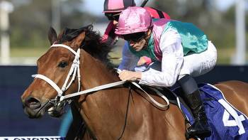 Chris Waller import Surefire on Cups trail after an impressive win at Rosehill