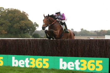 Christmas Ante-Post Racing Tips: Three selections for the festive action in UK & Ireland