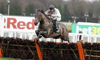 Christmas Hurdle at Kempton next for Constitution Hill