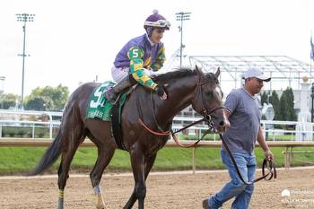 Churchill Downs' Barn Notes: Curly Jack May Set Them Straight In G2 KY Jockey Club