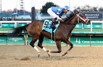 Churchill: Hot and Sultry blazes early, coasts late to win Chilukki