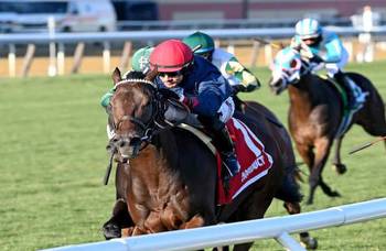 Churchtown wires field in Gio Ponti Stakes at Aqueduct