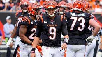 Cincinnati Bengals Odds Tracker: Latest Bengals Betting Lines, Futures & Super Bowl Odds