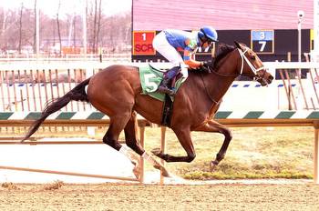 Circling the Drain Shadowing Stakes in Bald Eagle Derby