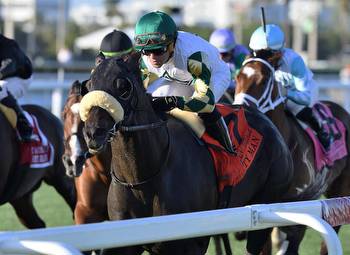 City Man, Decorated Invader Return in G1 Pegasus World Cup Turf