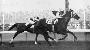Clash of the Titans: Remembering the 1950 Hollywood Gold Cup