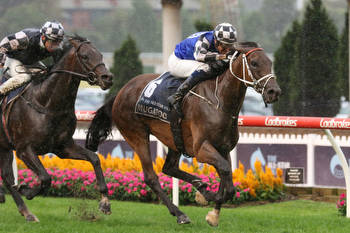 Class tipped to prevail in the Doncaster Mile