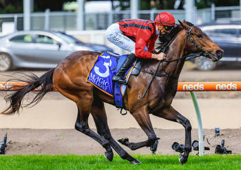 Classic Highlights for Gooree Park Stud