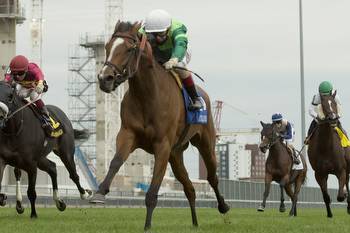 Clement Sends Out Formidable Duo In E.P. Taylor Stakes