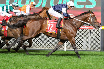 Cleveland boosts Melbourne Cup credentials in Moonee Valley Cup