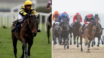 Climate change is having an impact on horse racing