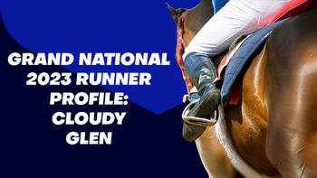 Cloudy Glen Grand National Odds & Betting Profile