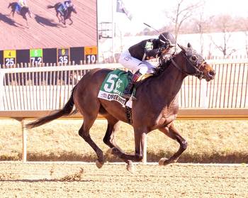 Coffeewithchris Slight Favorite In Preakness Stakes Qualifier