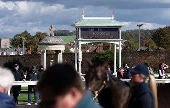 Cole star among heavyweight presence at the Horses in Training Sale