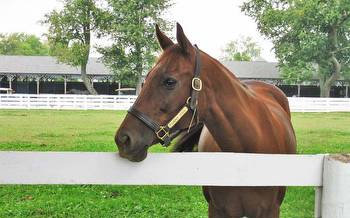 Colic claims Kentucky Derby winner Funny Cide at 23