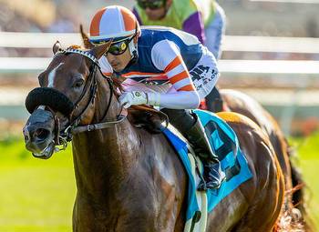 Collected's Conclude Strong in Oceanside on Del Mar's Opening Weekend