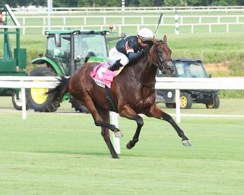 Colonial Downs runners headed to Breeders' Cup * The Racing Biz