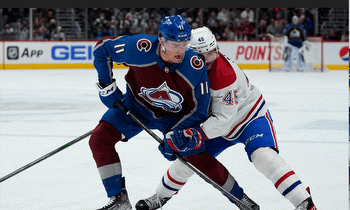 Colorado Avalanche's New Signings And Ones to Watch