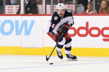 Columbus Blue Jackets Assign Greaves, Fix-Wolansky To AHL