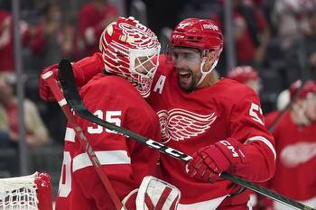 Columbus Blue Jackets vs Detroit Red Wings Prediction, Betting Tips & Odds │20 NOVEMBER, 2022