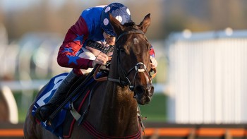 Confirmed runners and riders for Friday's Long Distance Hurdle at Newbury