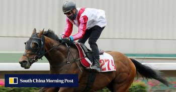 Congratulation, the wrong horse is in the Hong Kong Derby
