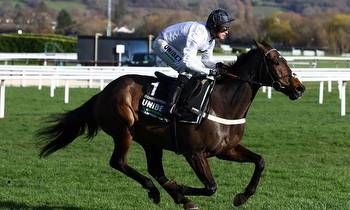 Constitution Hill among 11 Aintree Hurdle contenders