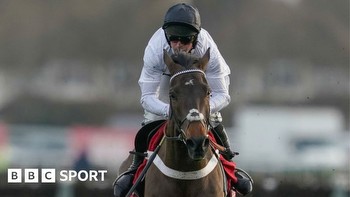 Constitution Hill: Champion Hurdle winner a doubt for Cheltenham after poor workout
