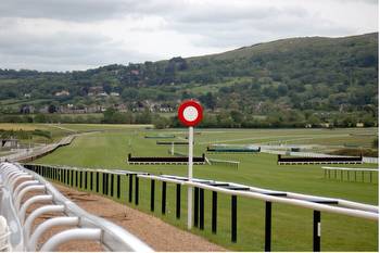 Constitution Hill clear favourite for the Cheltenham Champion Hurdle after stunning display in the Fighting Fifth