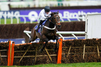 Constitution Hill heads up field for Cheltenham Champion Hurdle