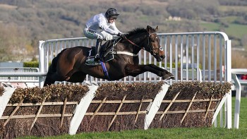 Constitution Hill in doubt for Champion Hurdle at Cheltenham Festival